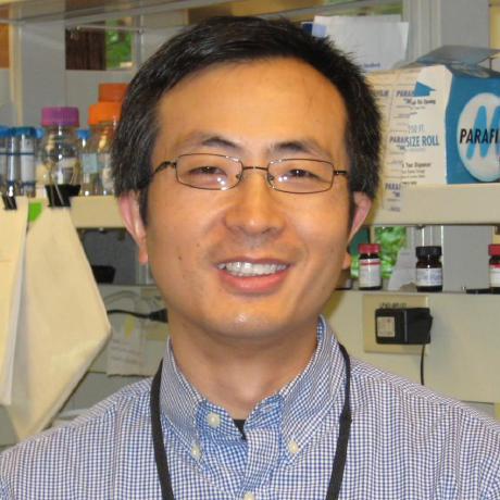 Dr. Hong Qin